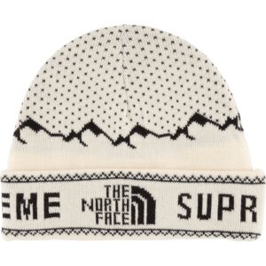 Supreme TNF Fold Beanie