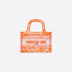 Dior Mini Dior Book Tote