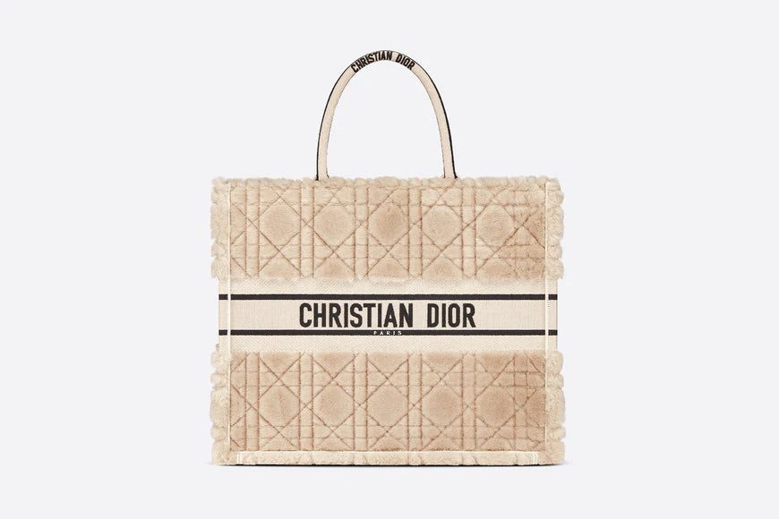 Dior Large Dior Book Tote