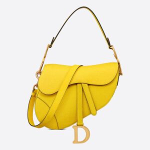 Dior Saddle Bag with Strap