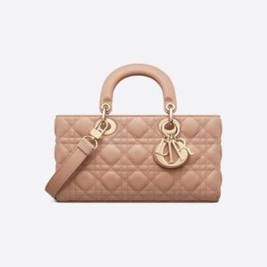 Dior Medium Lady D-Joy Bag