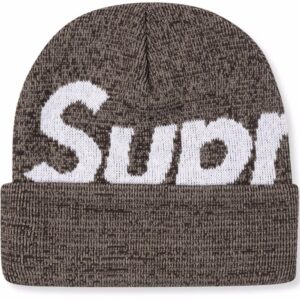 Supreme Big Logo beanie