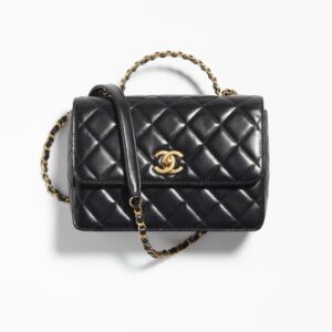 Chanel Small Flap Bag with Top Handle bag