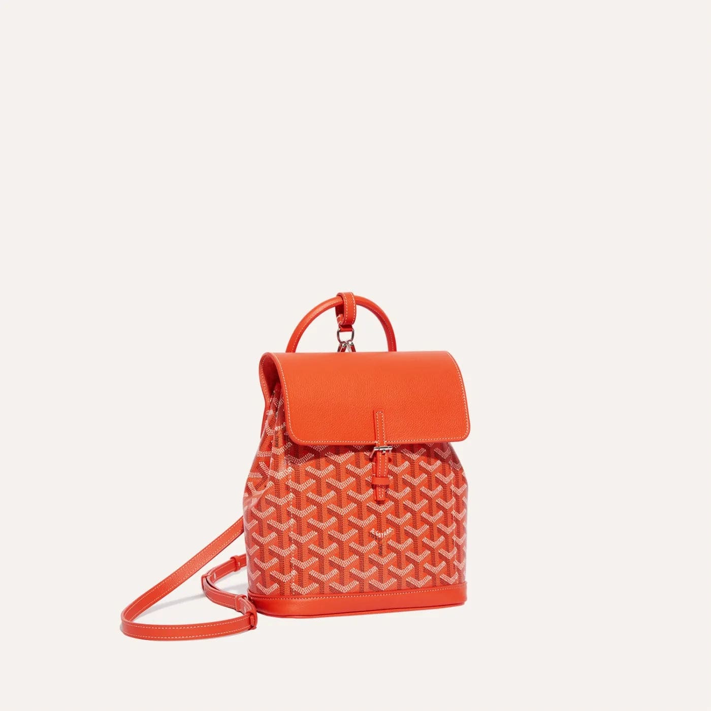 Goyard Alpin Mini Backpack
