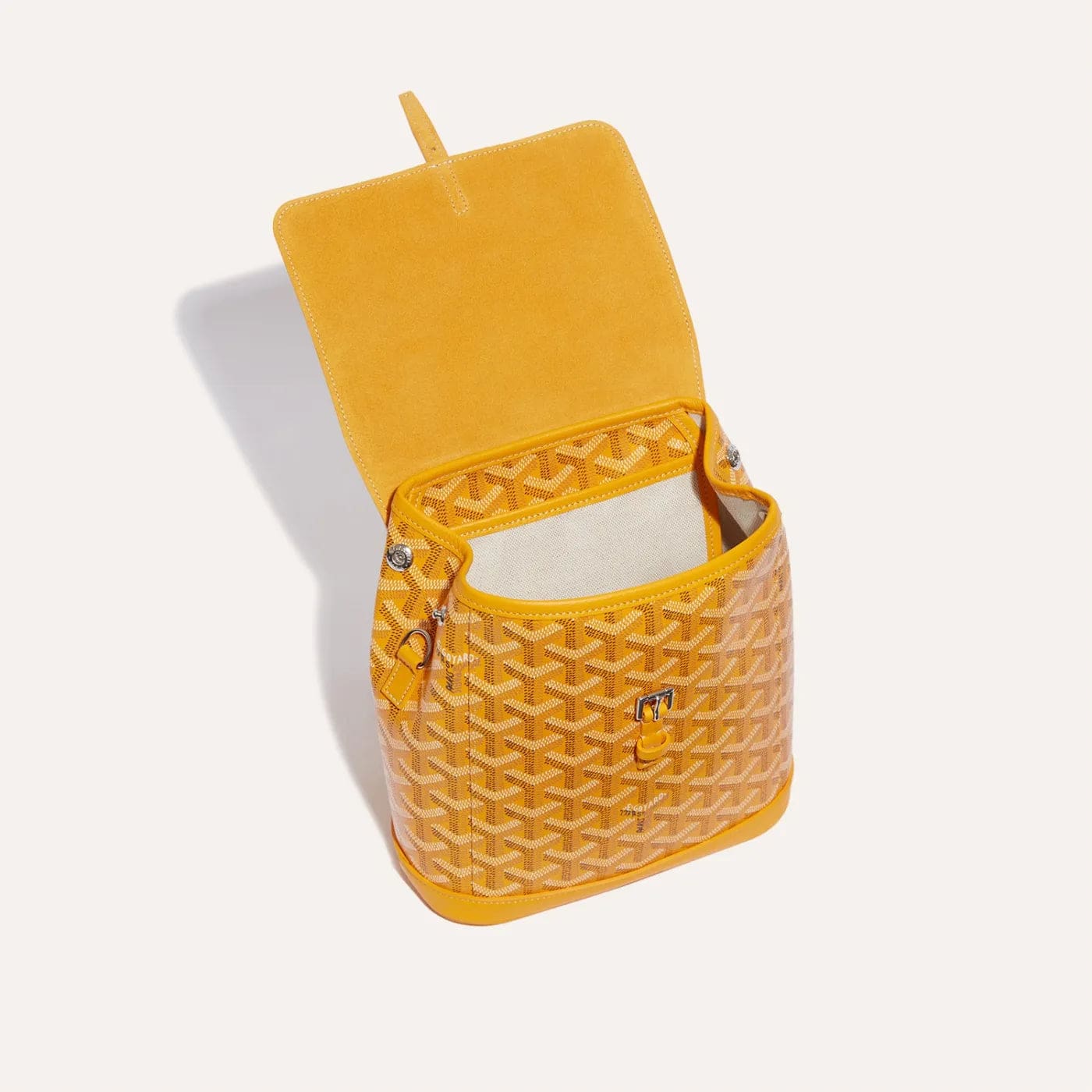 Goyard Alpin Mini Backpack - Image 5