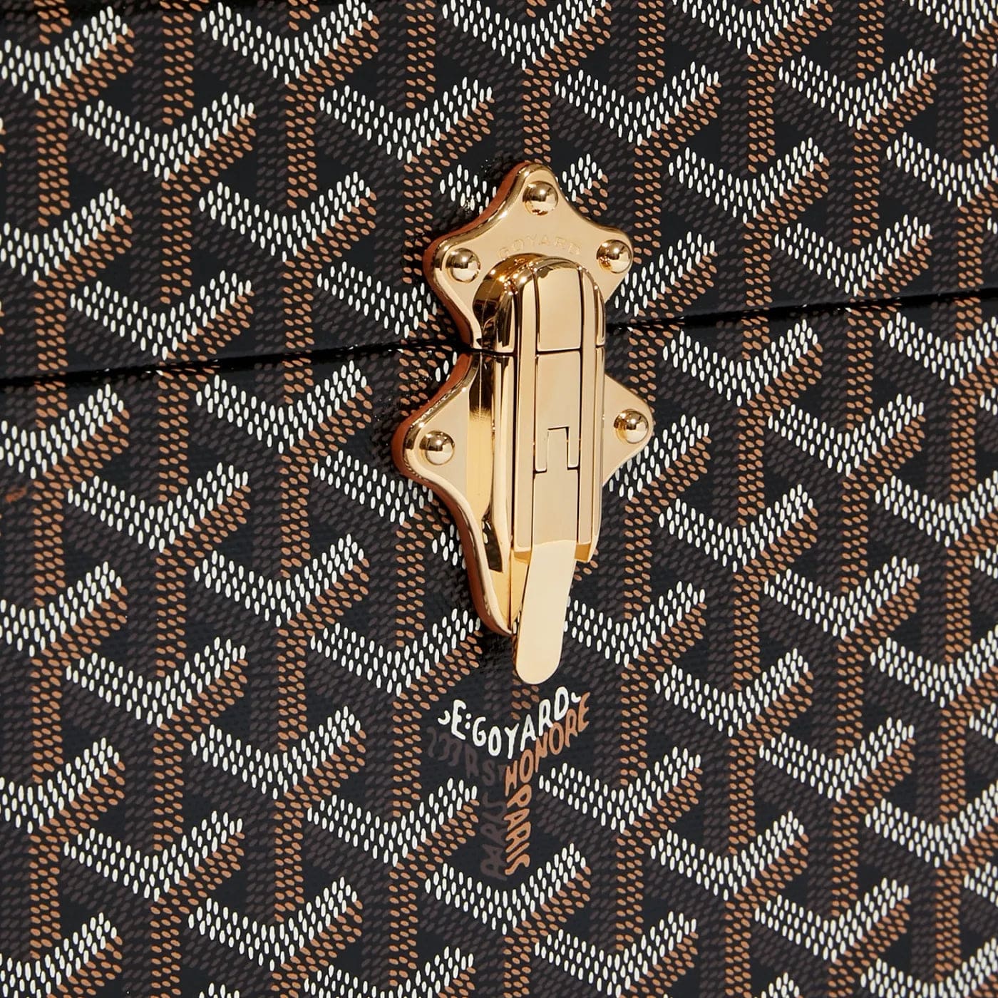 Goyard Cassette Trunk Bag - Image 6