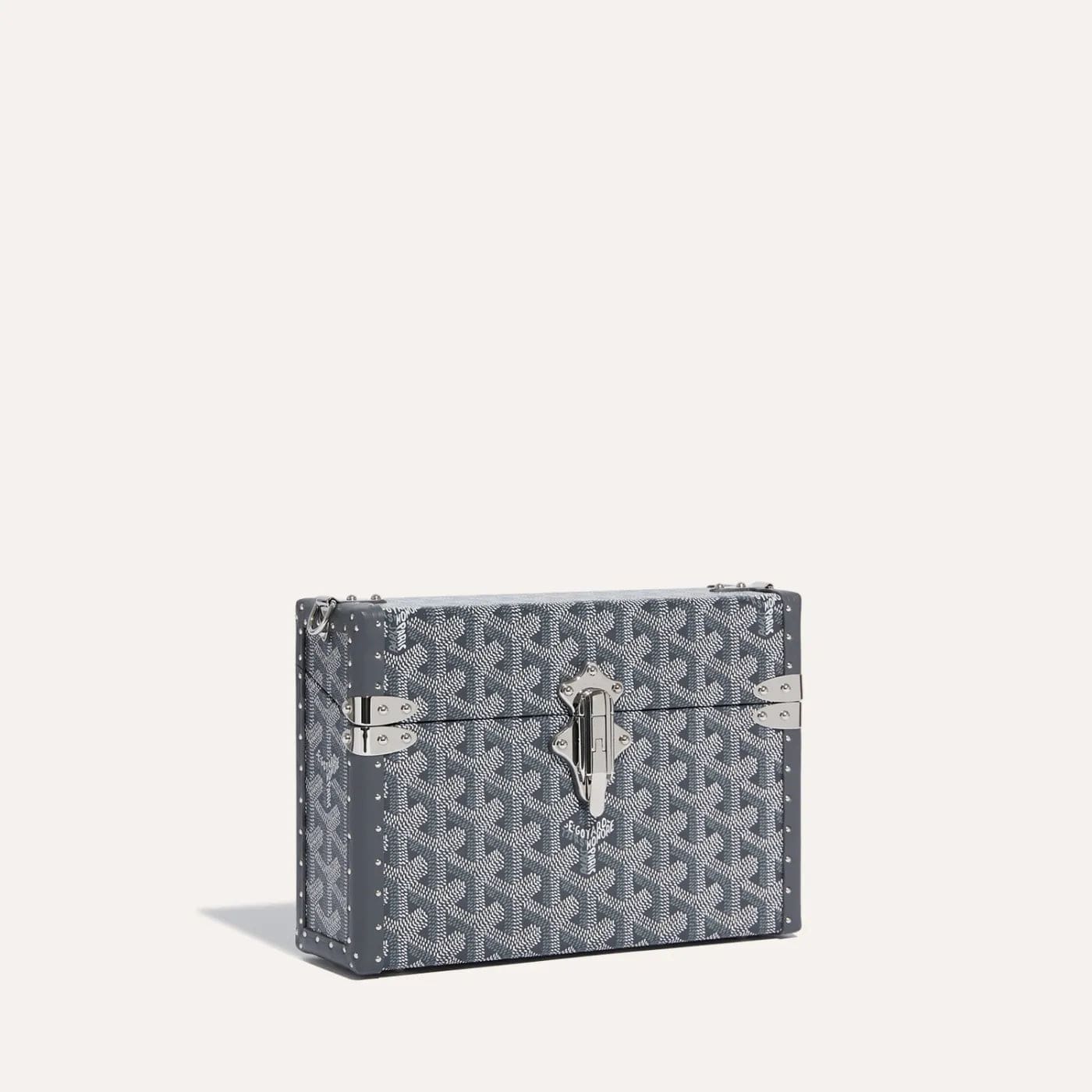 Goyard Cassette Trunk Bag