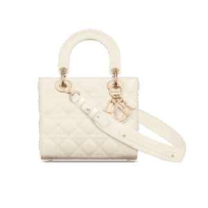 Dior Small Lady Dior My ABCDior Bag