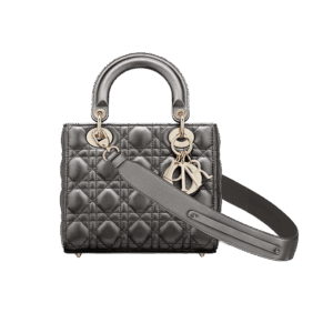 Dior Small Lady Dior My ABCDior Bag