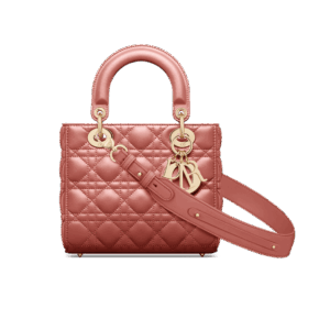 Dior Small Lady Dior My ABCDior Bag