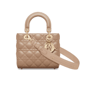 Dior Small Lady Dior My ABCDior Bag