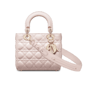 Dior Small Lady Dior My ABCDior Bag