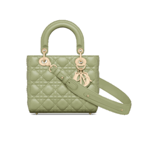 Dior Small Lady Dior My ABCDior Bag