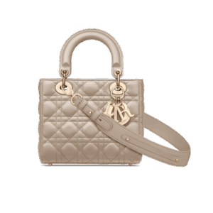 Dior Small Lady Dior My ABCDior Bag