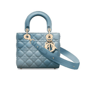 Dior Small Lady Dior My ABCDior Bag