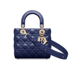 Dior Small Lady Dior My ABCDior Bag