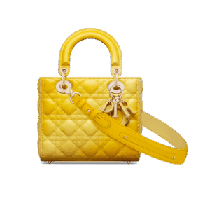 Dior Small Lady Dior My ABCDior Bag