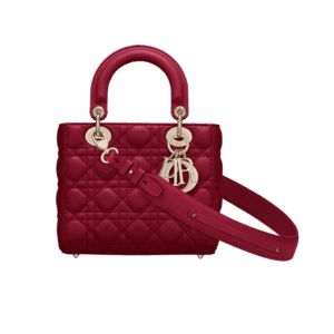 Dior Small Lady Dior My ABCDior Bag