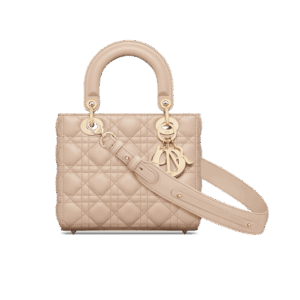 Dior Small Lady Dior My ABCDior Bag