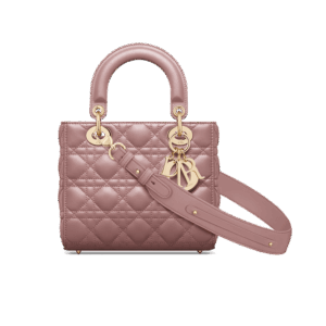 Dior Small Lady Dior My ABCDior Bag