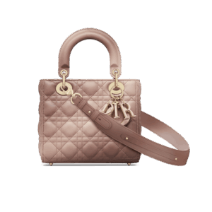Dior Small Lady Dior My ABCDior Bag