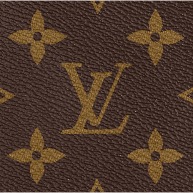 Louis Vuitton Artsy MM - Image 6