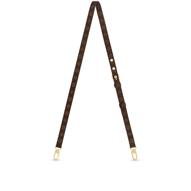 Louis Vuitton Bandoulière - Image 2