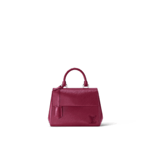 Louis Vuitton Cluny Mini