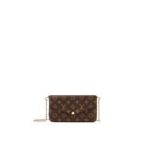 Louis Vuitton Félicie Pochette