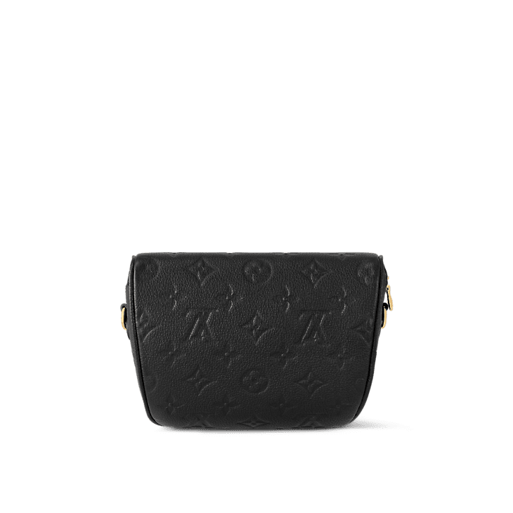 Louis Vuitton Mini Bumbag - Image 3