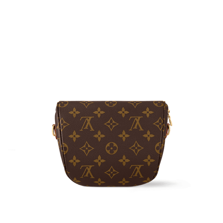 Louis Vuitton Mini Bumbag - Image 5
