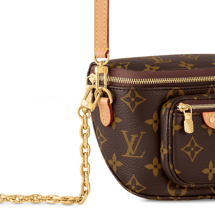 Louis Vuitton Mini Bumbag - Image 4