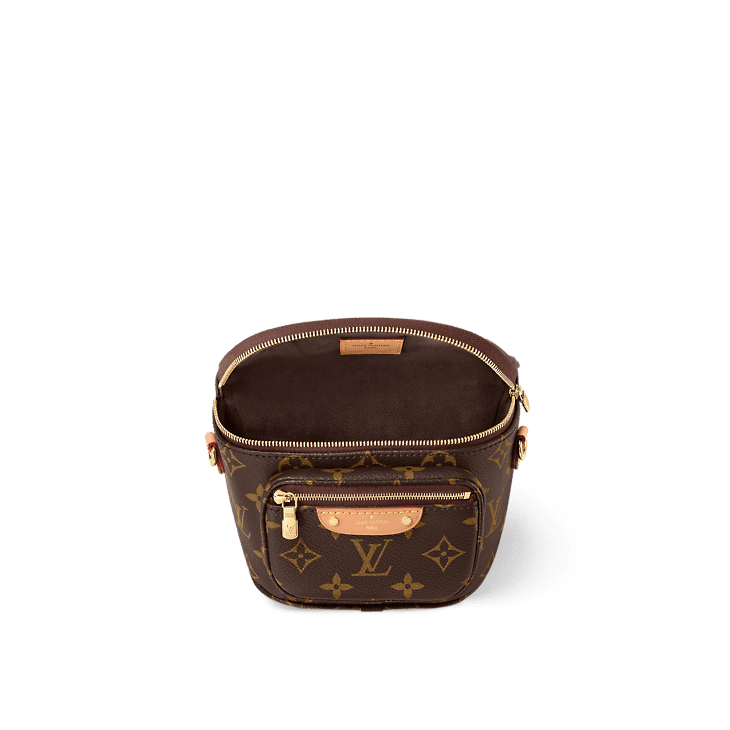 Louis Vuitton Mini Bumbag - Image 3