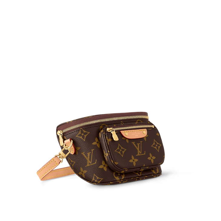 Louis Vuitton Mini Bumbag - Image 2