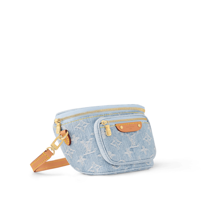 Louis Vuitton Mini Bumbag - Image 2