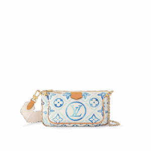 Louis Vuitton Multi Pochette Accessoires