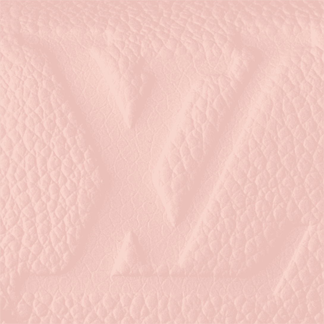 Louis Vuitton Nano Diane - Image 6