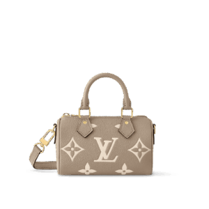 Louis Vuitton Nano Speedy