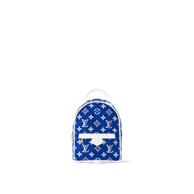 Louis Vuitton Palm Springs Mini