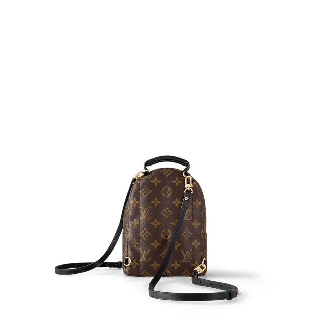 Louis Vuitton Palm Springs Mini - Image 5