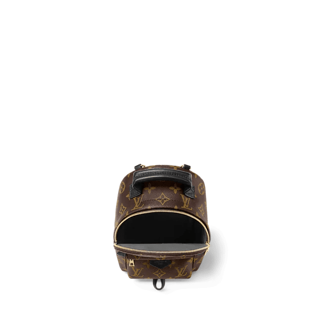 Louis Vuitton Palm Springs Mini - Image 3