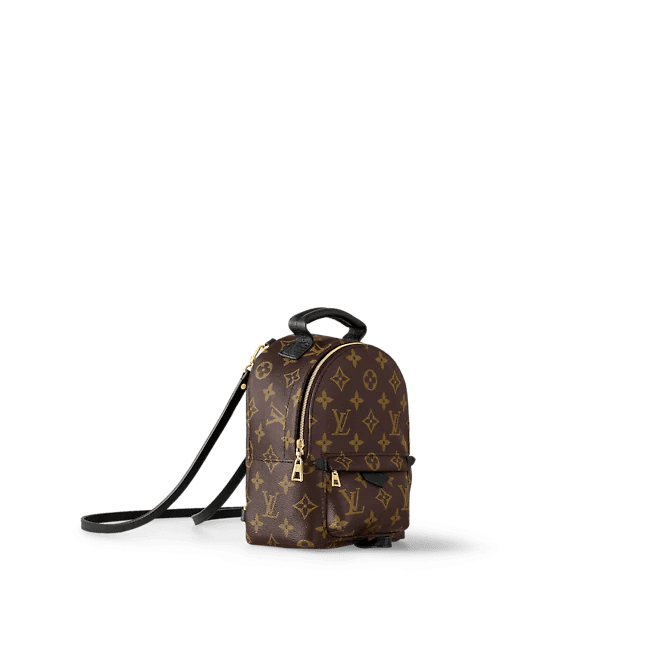 Louis Vuitton Palm Springs Mini