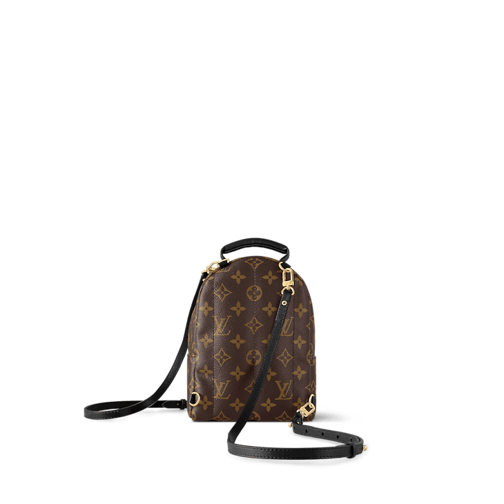 Louis Vuitton Palm Springs MM - Image 4