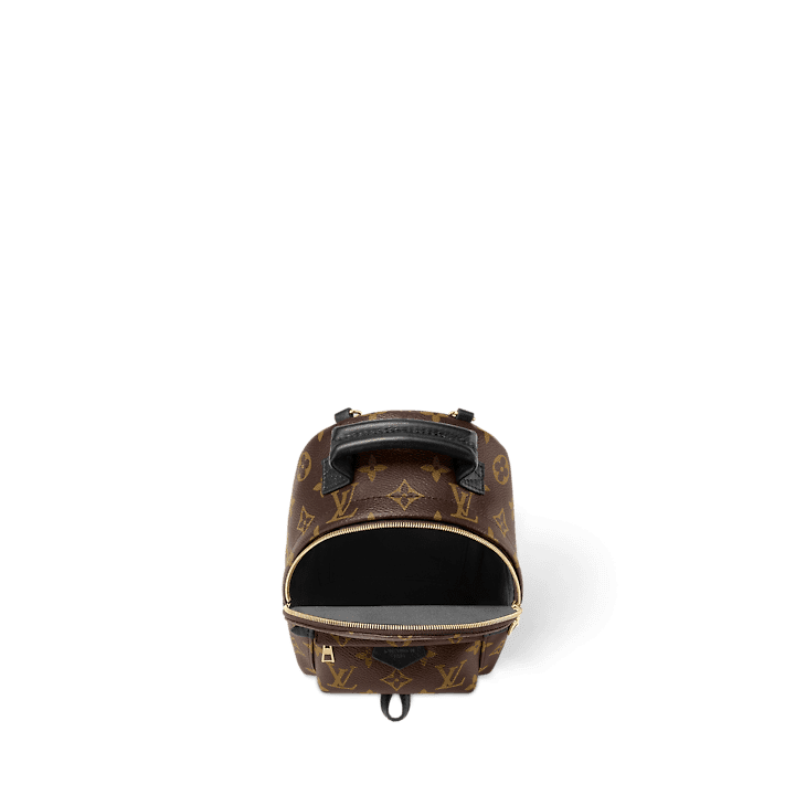 Louis Vuitton Palm Springs MM - Image 3