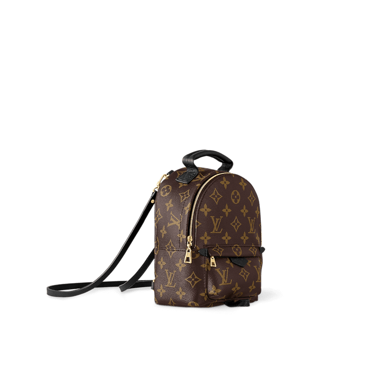 Louis Vuitton Palm Springs MM - Image 2