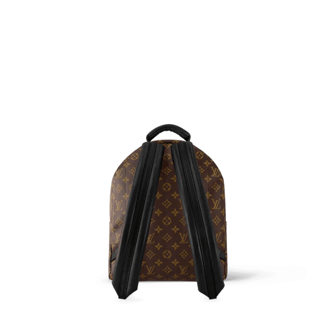 Louis Vuitton Palm Springs MM - Image 2