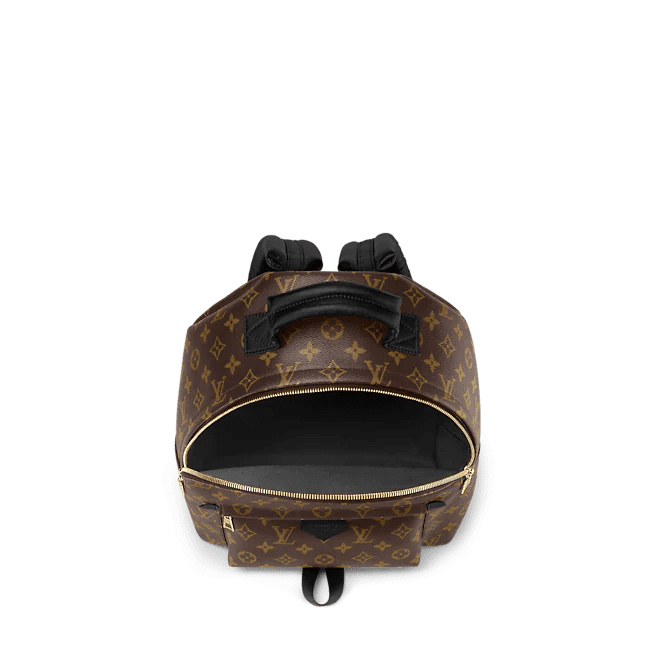 Louis Vuitton Palm Springs MM - Image 3