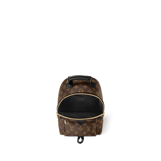 Louis Vuitton Palm Springs PM - Image 2