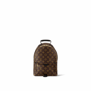 Louis Vuitton Palm Springs PM