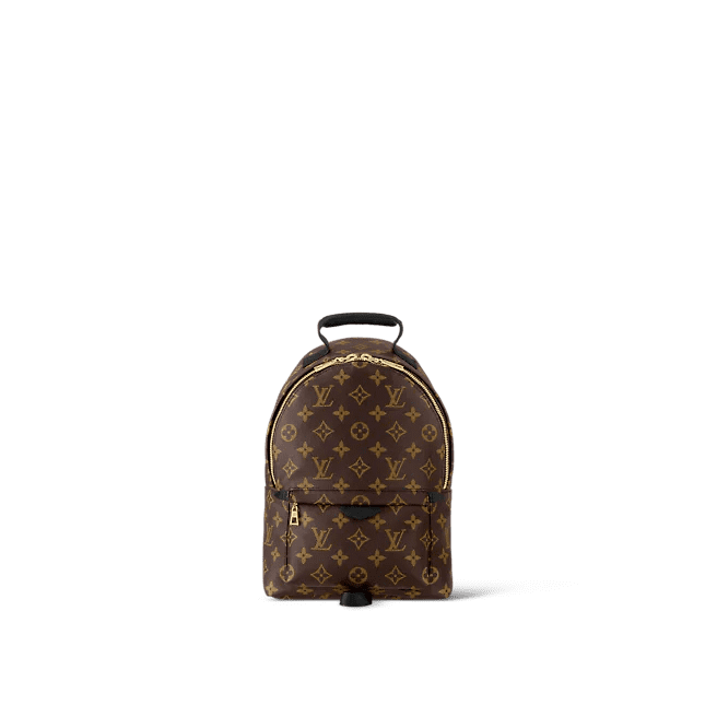Louis Vuitton Palm Springs PM